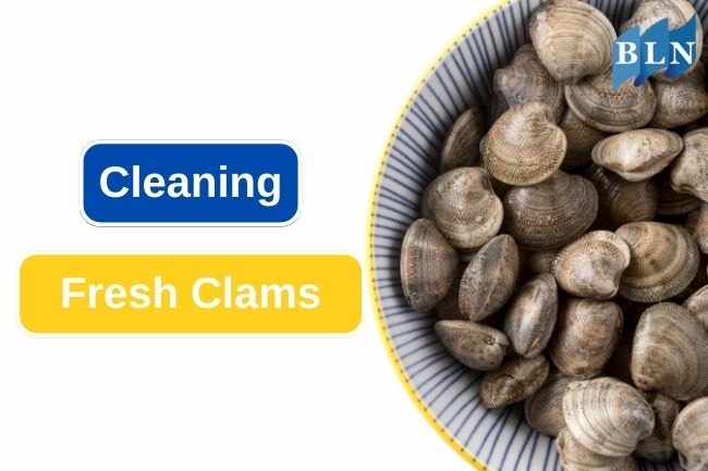 Follow This Tips On Cleaning Fresh Clams